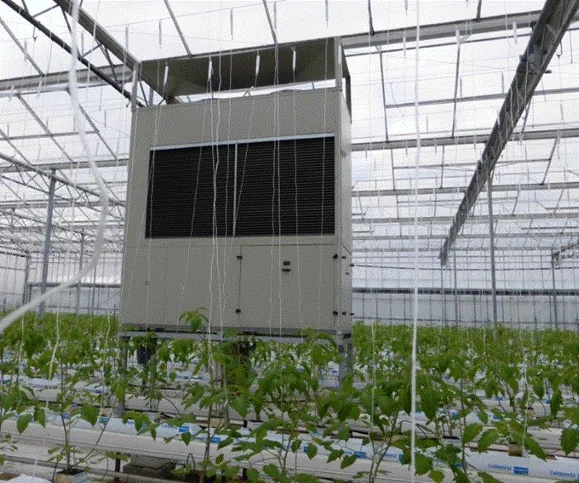 Crop greenhouse